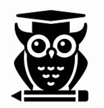 Lessons Learned: Essential Business Insights for Success
